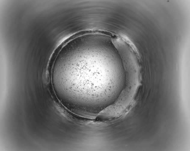 X0000087000876200704301355