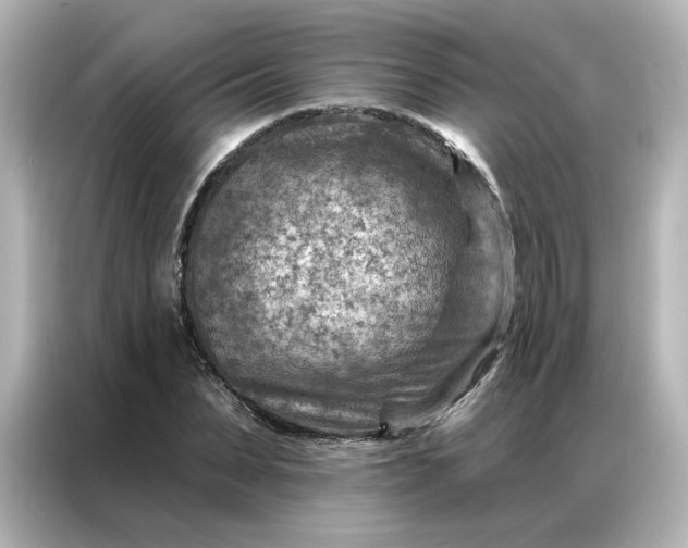 X0000087000879200704301355