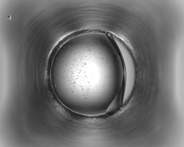 X0000087000880200704301355