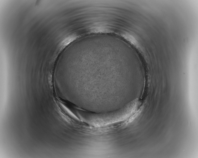 X0000087000881200704301355