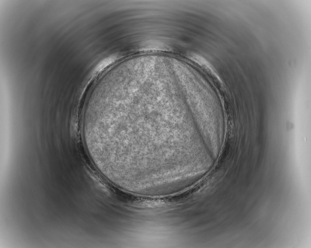 X0000087000882200704301355