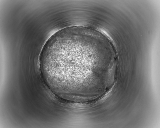 X0000087000883200704301355