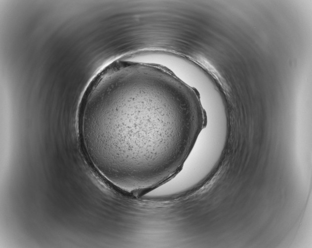 X0000087000884200704301355