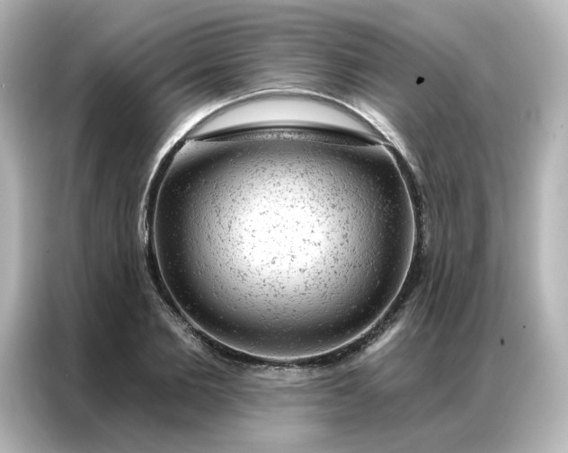 X0000087000885200704301355