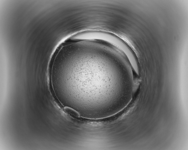 X0000087000888200704301355