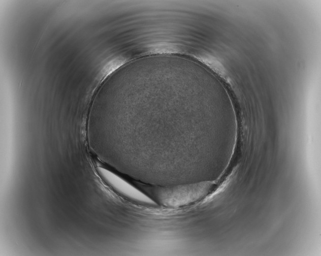 X0000087000889200704301355