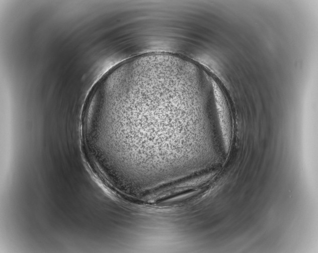 X0000087000890200704301355