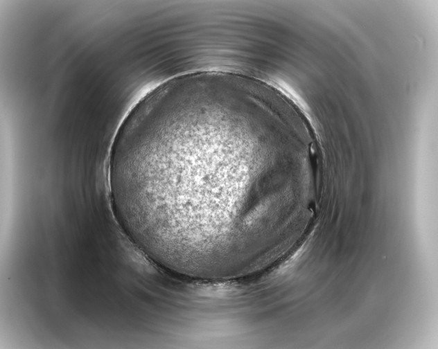 X0000087000891200704301355