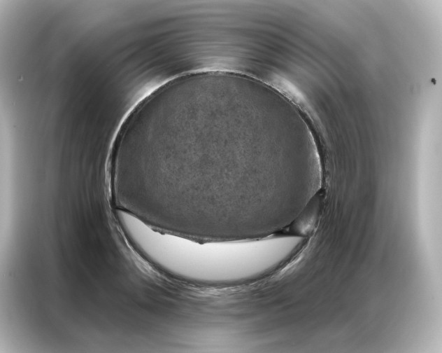 X0000087000892200704301355