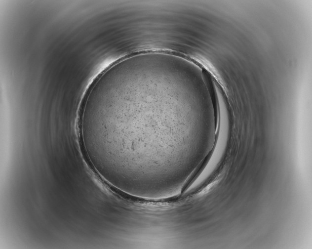 X0000087000893200704301355