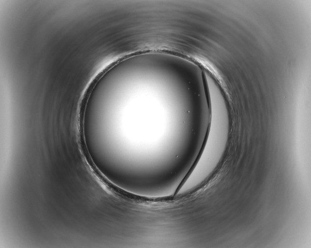 X0000087000894200704301355