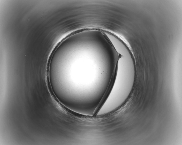 X0000087000895200704301355