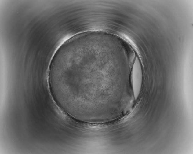 X0000087000899200704301355