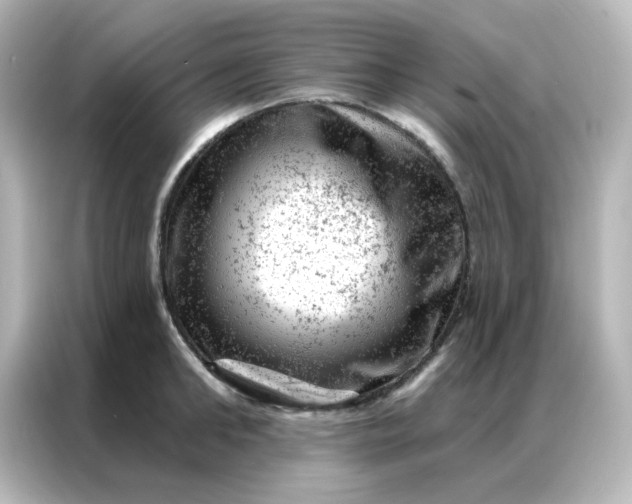 X0000087000902200704301355
