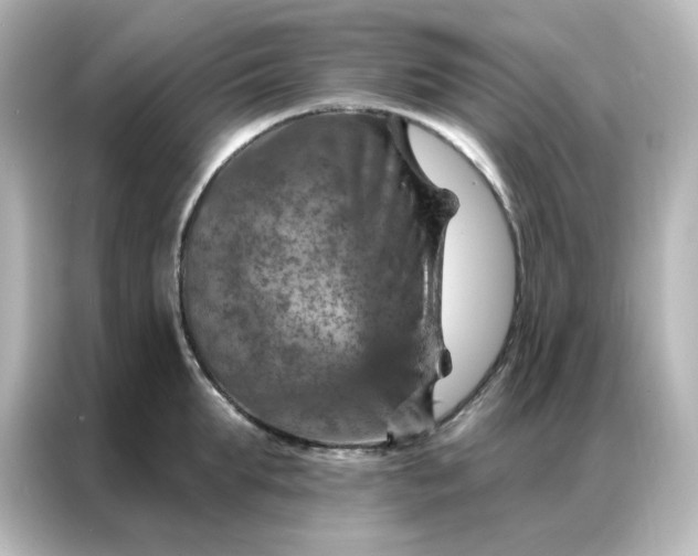 X0000087000903200704301355