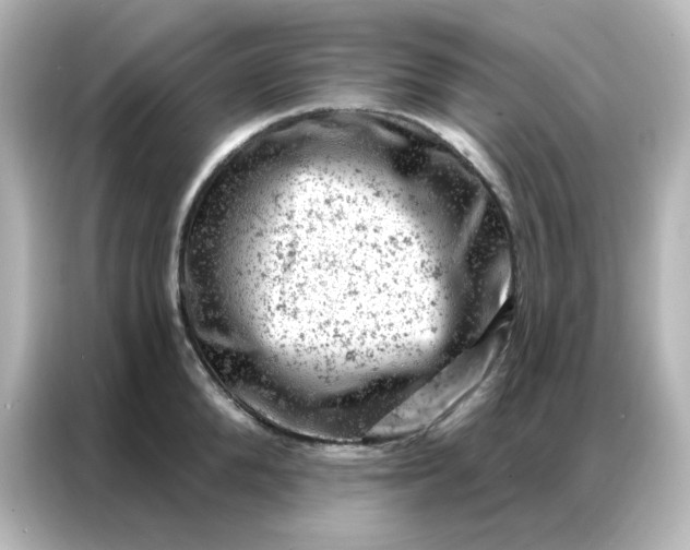 X0000087000904200704301355