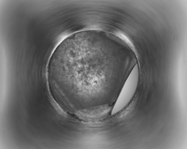 X0000087000907200704301355