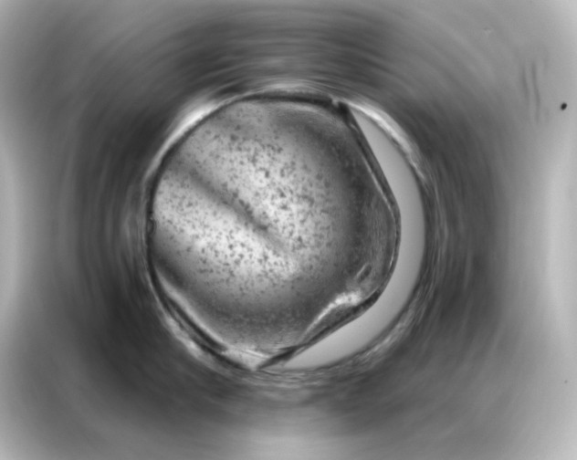 X0000087000910200704301355