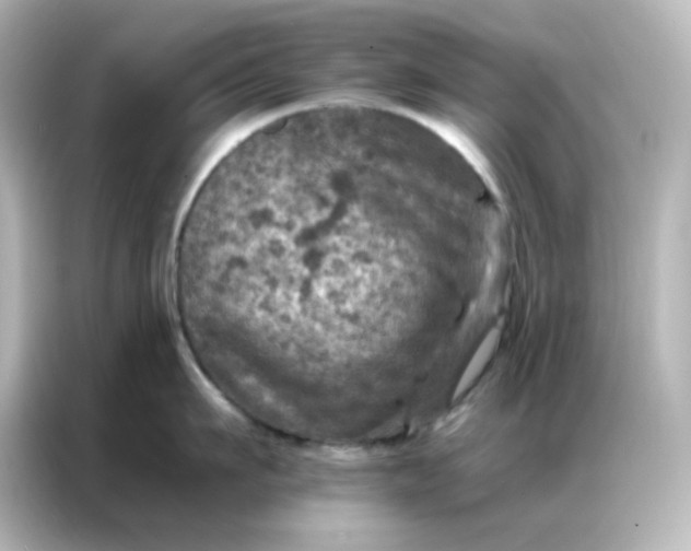 X0000087000911200704301355