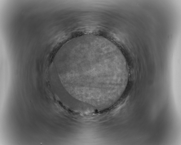 X0000087000913200704301354