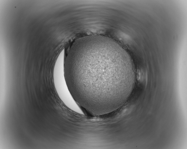 X0000087000915200704301354