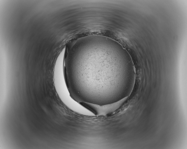 X0000087000916200704301354
