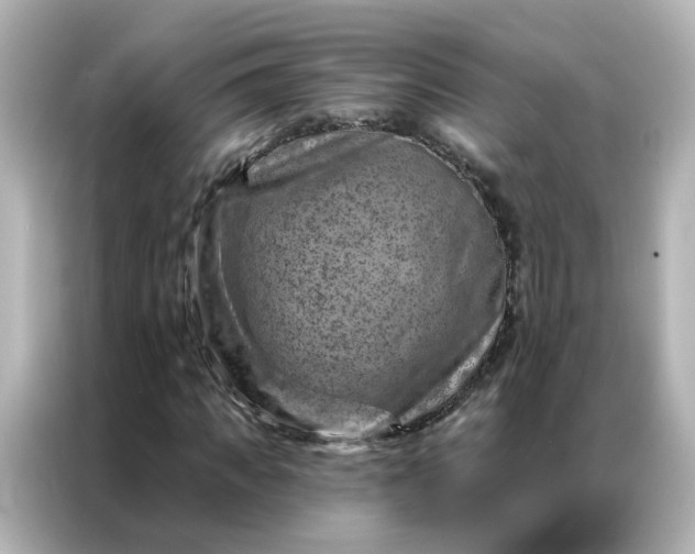 X0000087000917200704301354