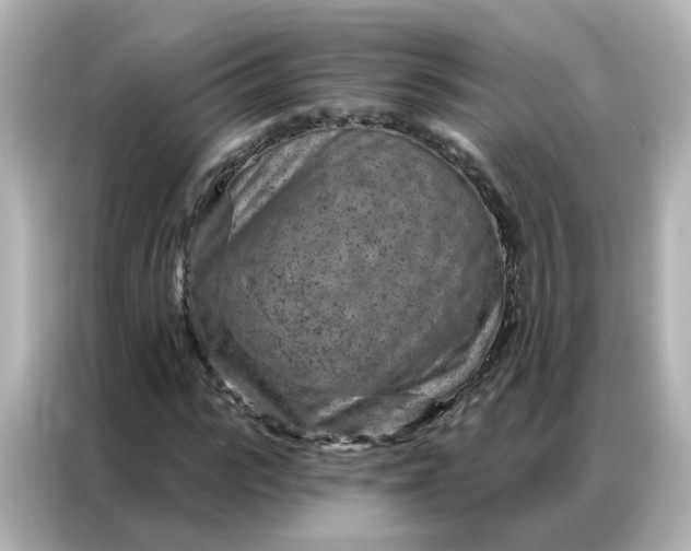 X0000087000919200704301354