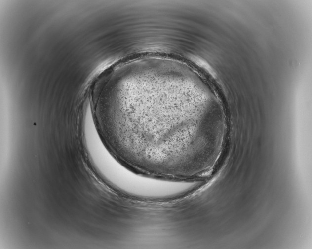 X0000087000922200704301354