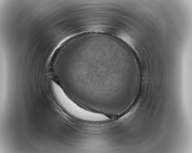 X0000087000923200704301354