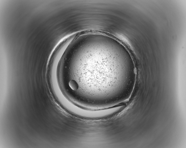 X0000087000924200704301354