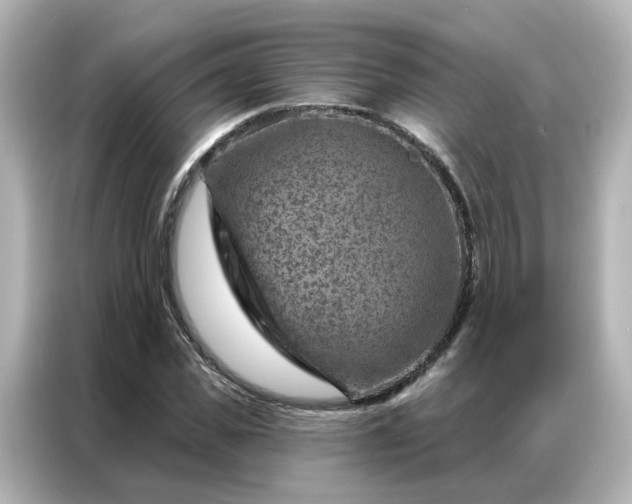 X0000087000925200704301354
