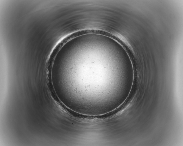 X0000087000926200704301354