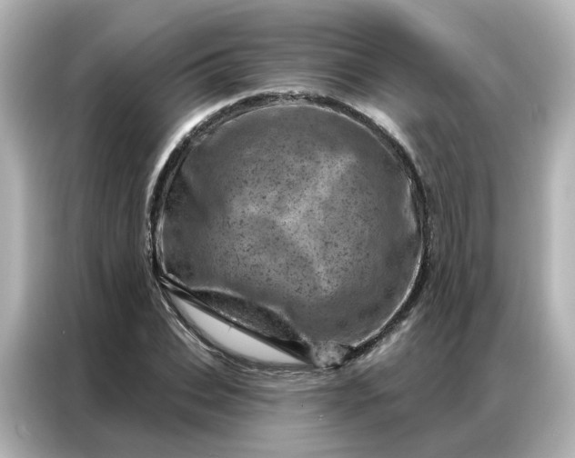 X0000087000927200704301354
