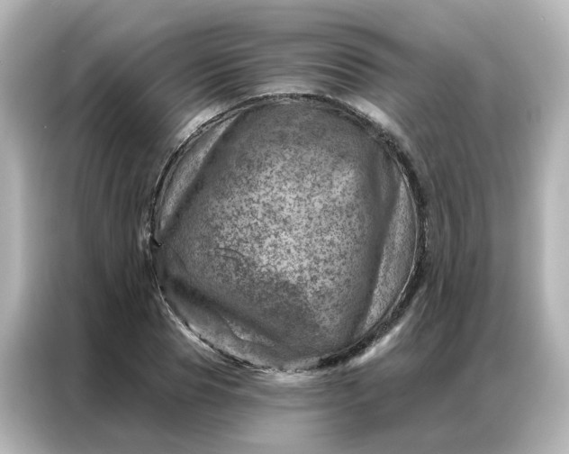 X0000087000929200704301354