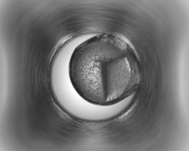 X0000087000930200704301354