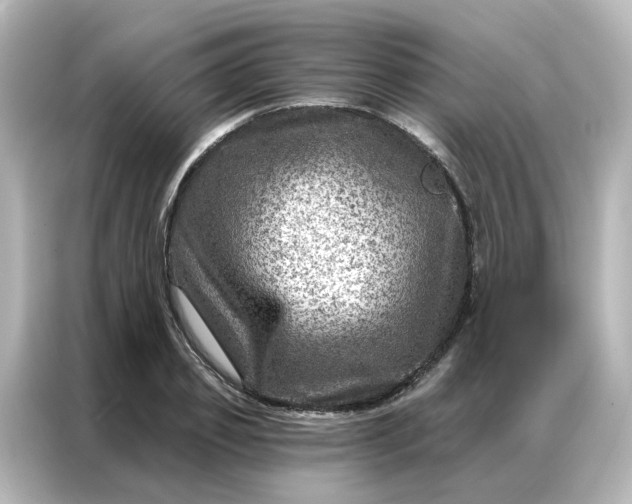 X0000087000933200704301354