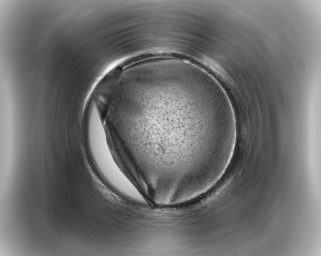 X0000087000934200704301355