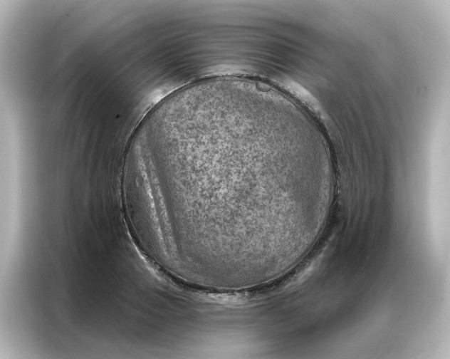 X0000087000937200704301355