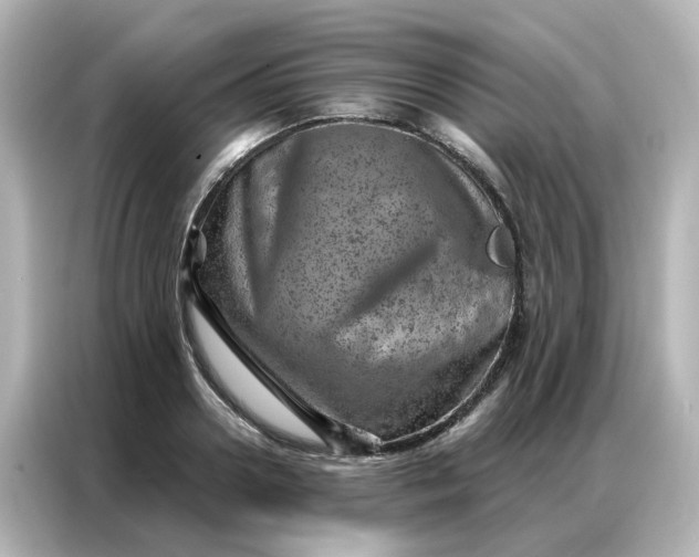 X0000087000938200704301355