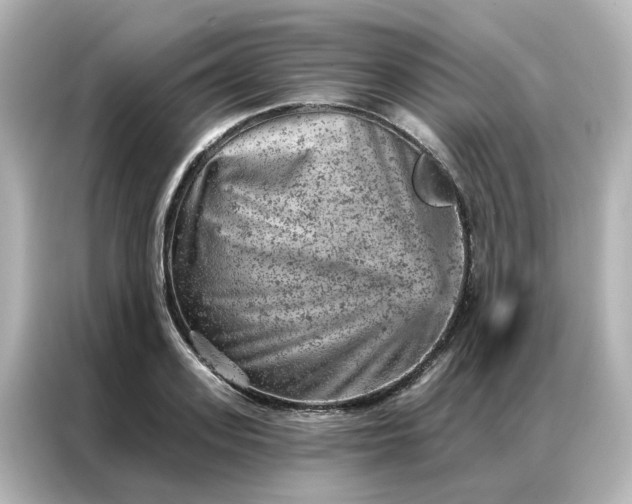 X0000087000939200704301355