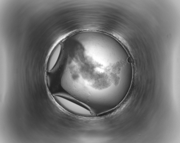 X0000087000941200704301355
