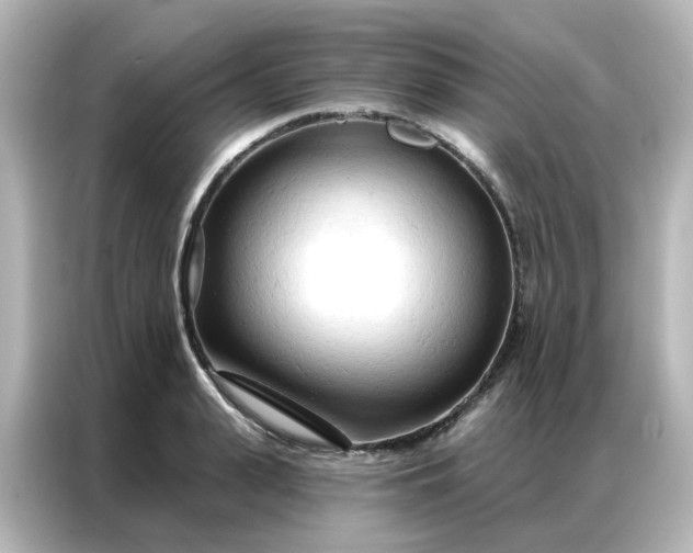 X0000087000943200704301355