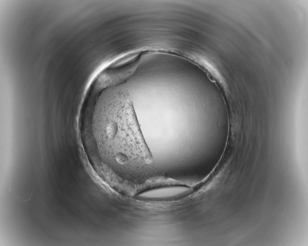 X0000087000944200704301355