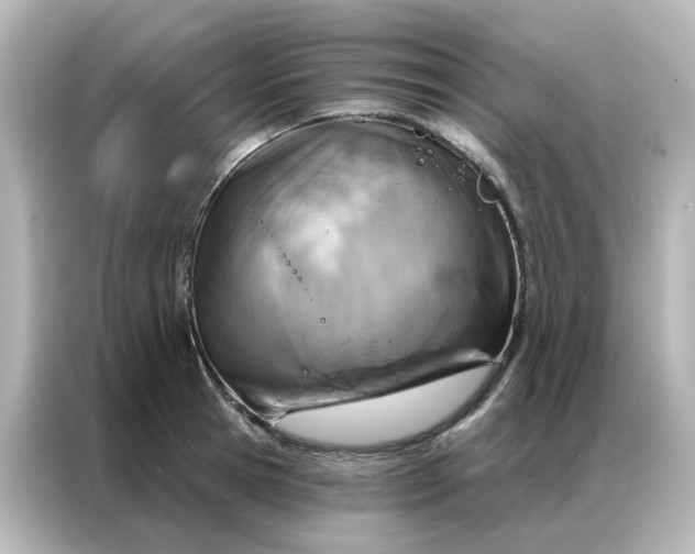X0000087000945200704301355