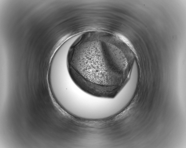 X0000087000946200704301355