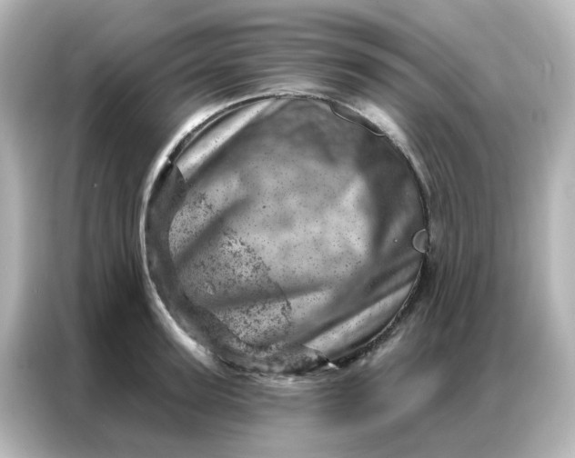 X0000087000947200704301355