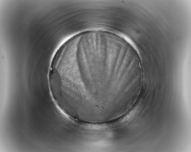 X0000087000951200704301355