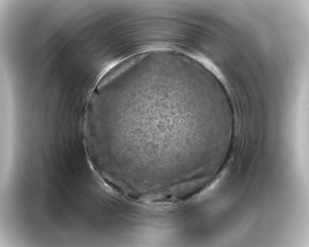 X0000087000953200704301355