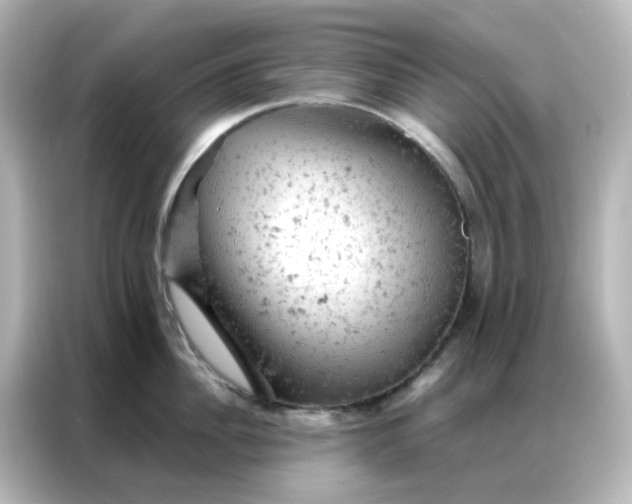 X0000087000956200704301355